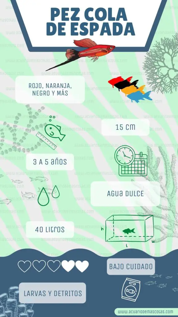 infografía pez cola de espada