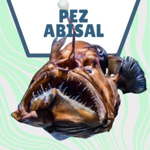 pez abisal