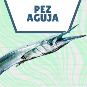 pez aguja